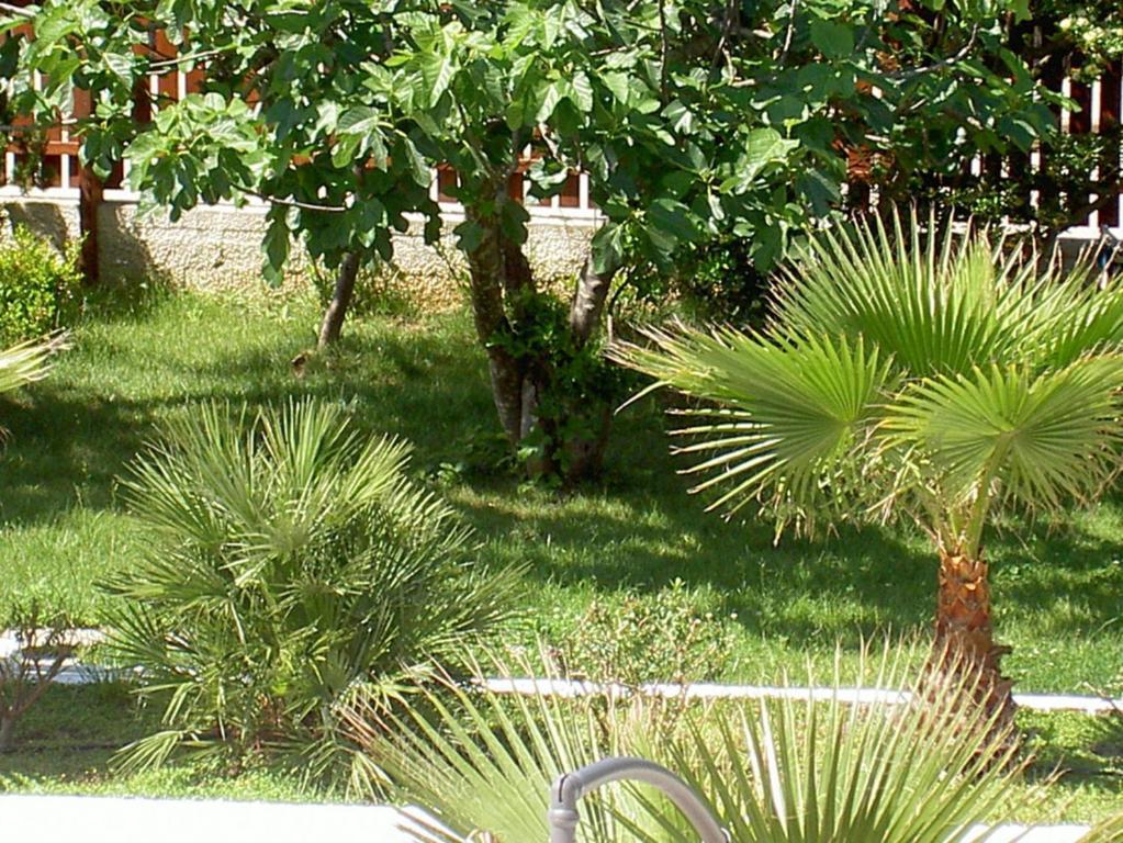 Baia Del Sole Hotel *